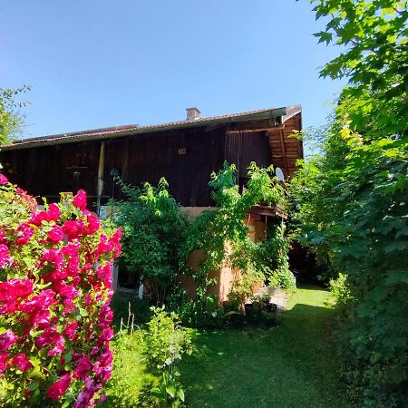 Gemuetliche Ferienwohnung Mit Kamin Und Garten Garmisch-Partenkirchen Exteriör bild