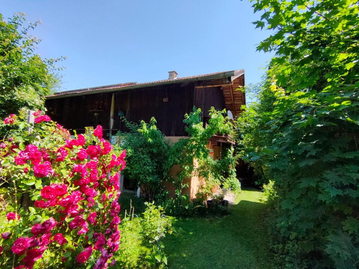 Gemuetliche Ferienwohnung Mit Kamin Und Garten Garmisch-Partenkirchen Exteriör bild
